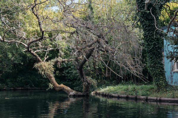 Alimentation et Gestion de la Maladie de Crohn : Guide Complet et Optimisé pour la Santé