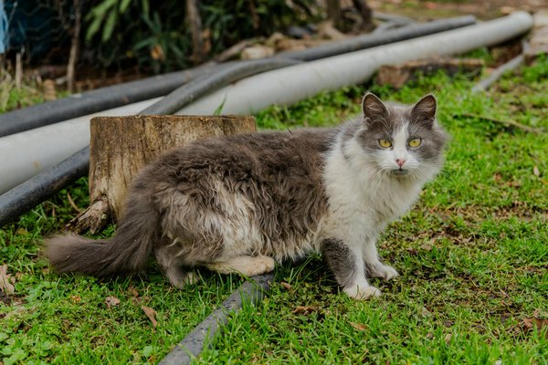 Battre l'Alcoolisme : Stratégies Efficaces pour un Sevrage Réussi